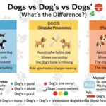 dog’s vs dogs
